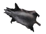 Borsuk