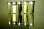 Fermentacja