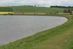 Ojczyzna