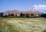Zagranica