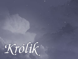 Królik
