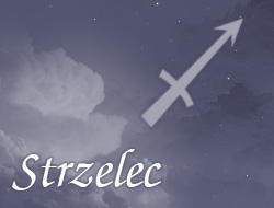 Strzelec