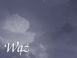 Wąż